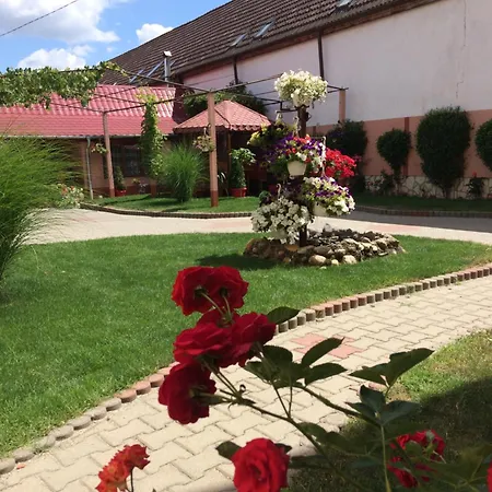 Casa Danady Guest house Sibiu
